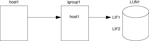 image illustrating LUN access without a portset
