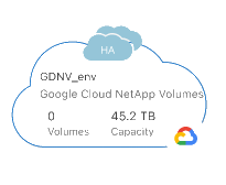 Ein Screenshot der Arbeitsumgebung des Google Cloud NetApp Volumes Service.