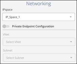 Ein Screenshot, der die Netzwerkdetails beim Backup von Volumes eines ONTAP Systems auf Azure Blob Storage anzeigt.