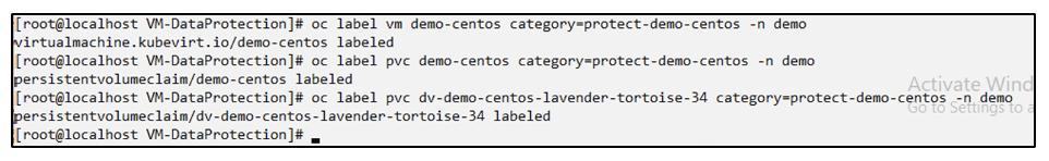 Bezeichnung Demo-Centos VM, PVC