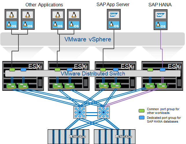 VMware-spezifische Netzwerkeinstellungen