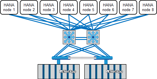 Acht SAP HANA-Hosts, die an ein Storage-HA-Paar angeschlossen sind