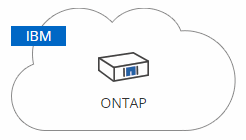 Zeigt das ONTAP Symbol für die Erkennung von ONTAP in der IBM Cloud.