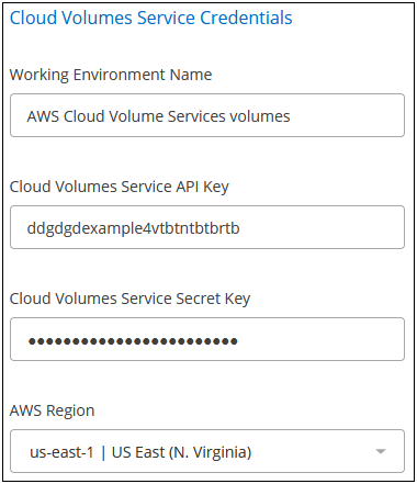 Screenshot mit den Zugangsdaten für ein Cloud Volumes Service für AWS Abonnement