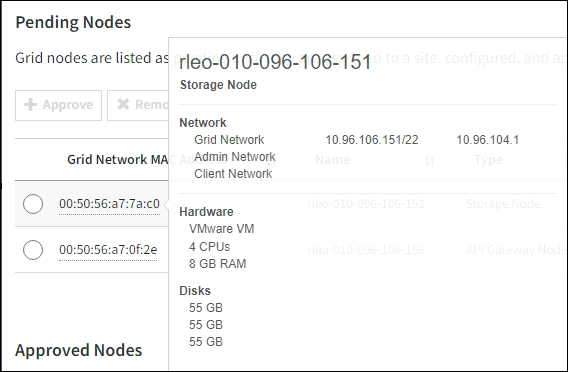 Screenshot der Grid Node-Details