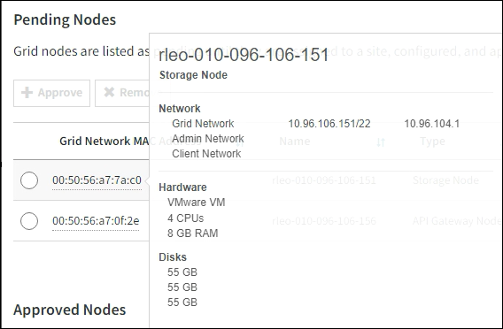 Screenshot mit Grid Node-Details