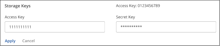 Captura de pantalla de la entrada de la clave de almacenamiento en la página Advanced Settings.
