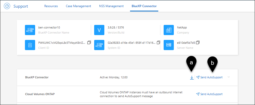 Una captura de pantalla del panel de soporte que muestra dónde pueden seleccionar los usuarios para descargar y enviar mensajes de AutoSupport.