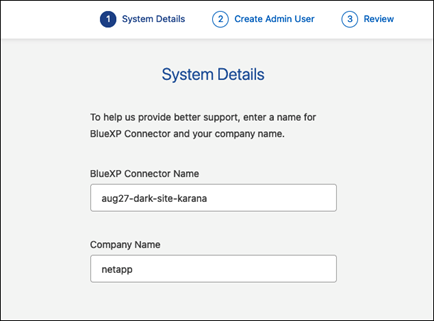 Una captura de pantalla de la página Detalles del sistema que le pide que introduzca el nombre y el nombre de la empresa de BlueXP.