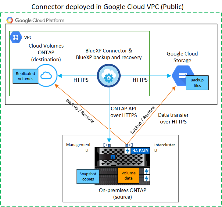 Un diagrama que muestra cómo se comunican el backup y la recuperación de BlueXP a través de una conexión pública con los volúmenes del clúster y el almacenamiento de Google Cloud donde se encuentran los archivos de backup.