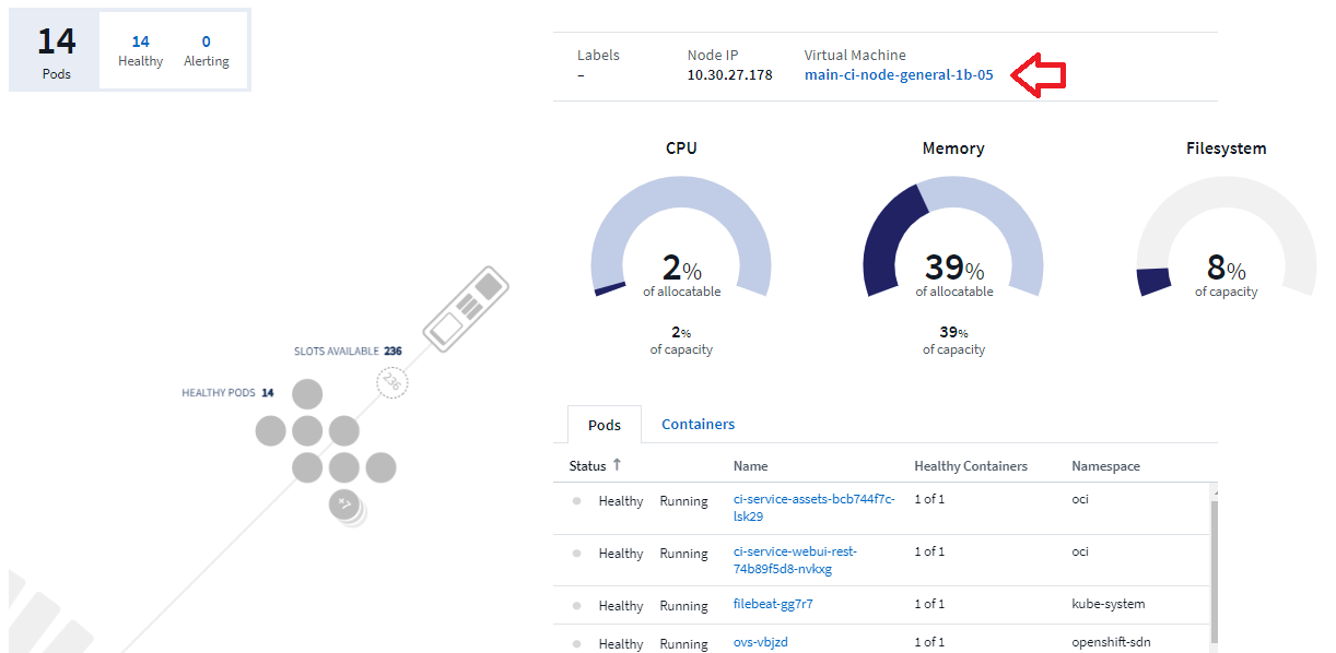 Página de Kubernetes Node mostrando el enlace de la máquina virtual