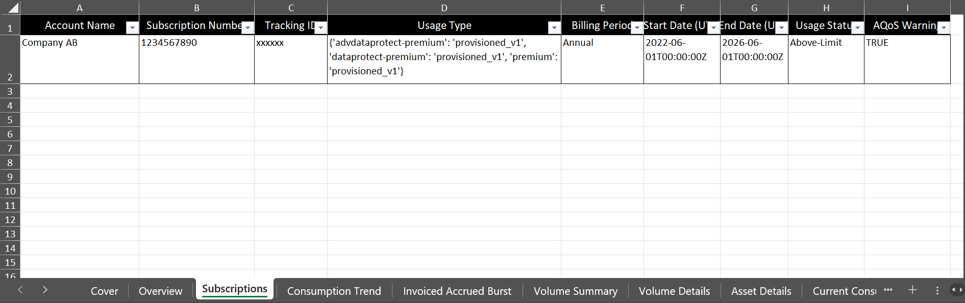 Informe generado en formato Excel que muestra hojas separadas