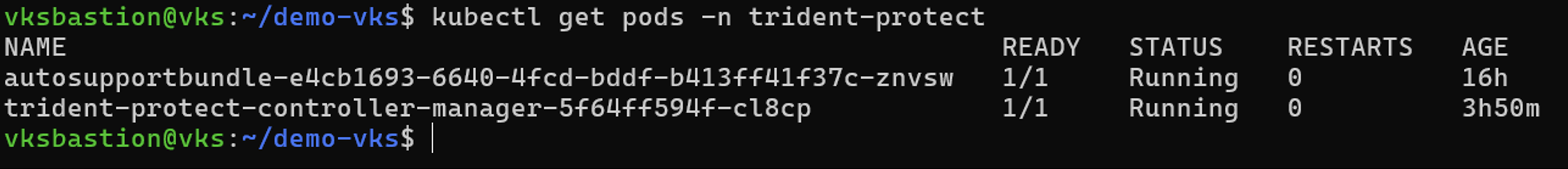 Trident Protect pods en funcionamiento