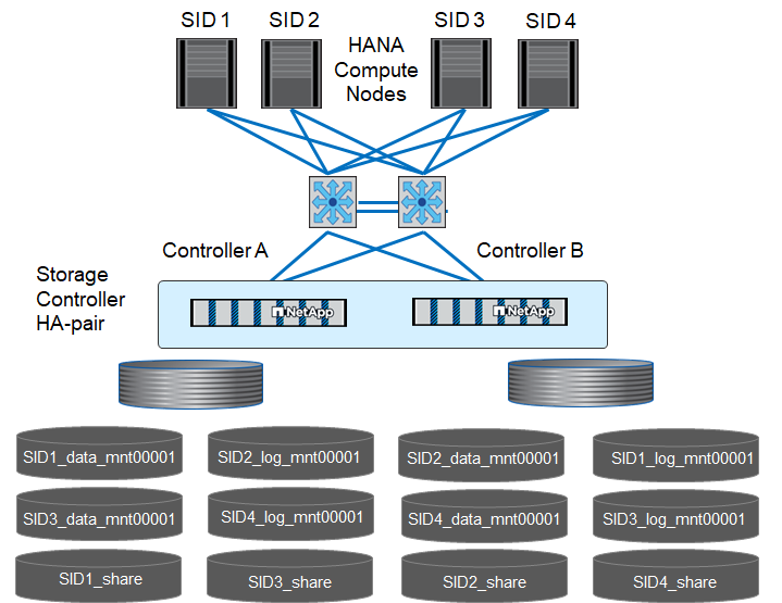 Hosts únicos de SAP HANA de configuración de volúmenes