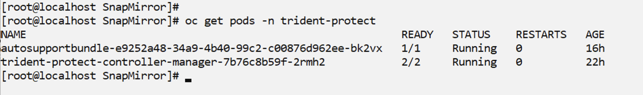 OCP-v trident protect instalado en el espacio de nombres trident-protect