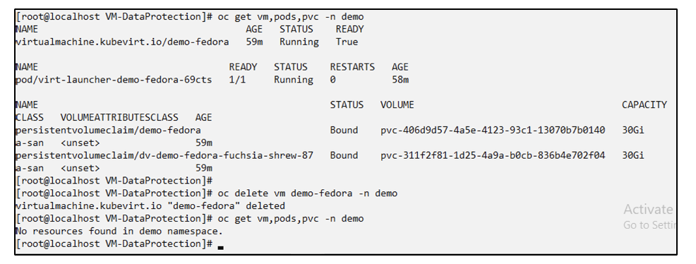 fedora-vm eliminado