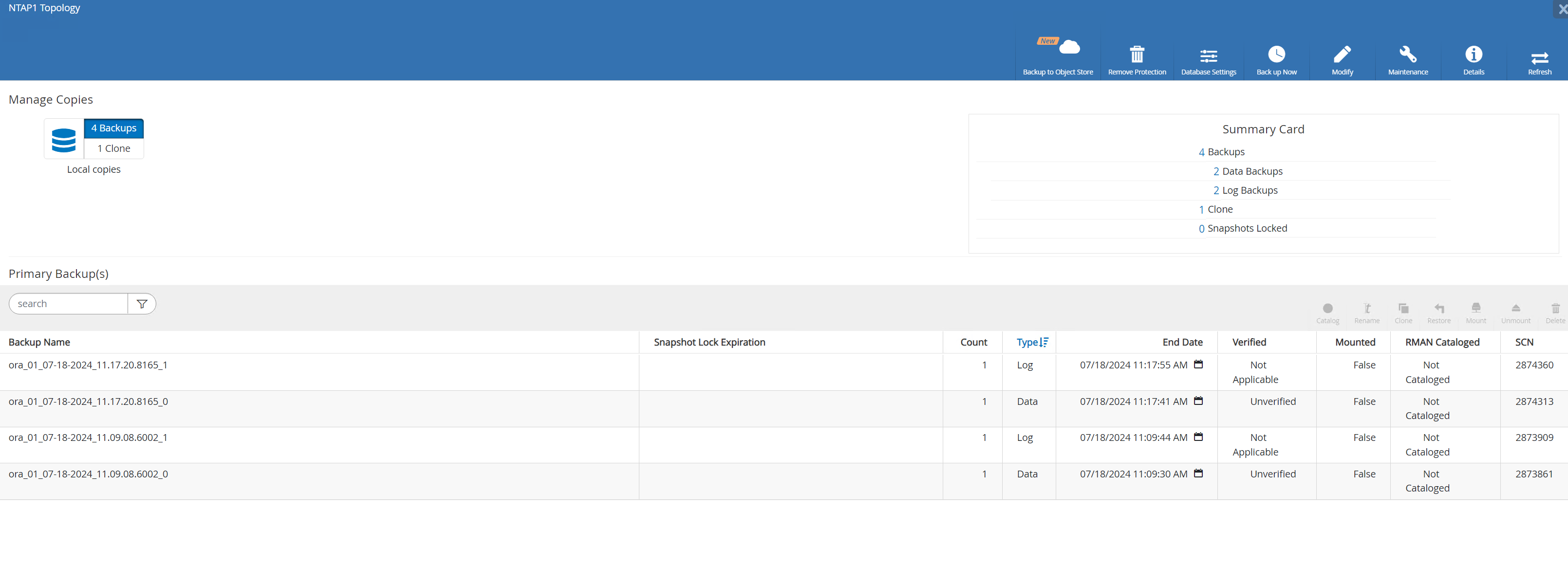 Captura de pantalla que muestra la configuración de SnapCenter.