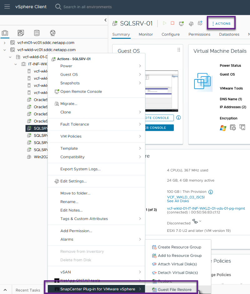 Abra el asistente Guest File Restore