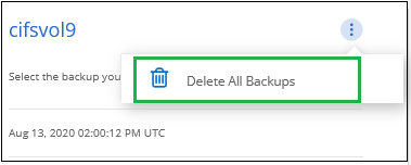 Una captura de pantalla de selección del botón Delete All backups para eliminar toda la copia de seguridad de un volumen.