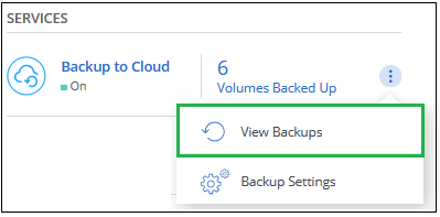 Captura de pantalla de selección del botón View backups para un entorno de trabajo.