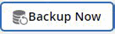 Captura de pantalla del botón "Backup Now" de SaaS Backup