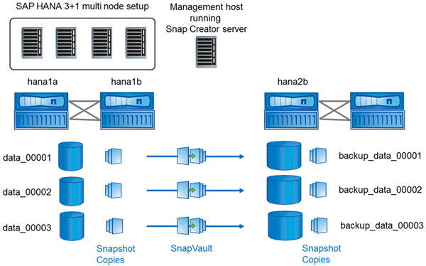 Muestra los volúmenes de datos del almacenamiento primario y la ruta de replicación hacia el almacenamiento secundario.