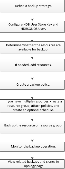 Flujo de trabajo de backup de SAP_HANA
