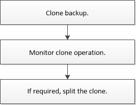 Flujo de trabajo de clonado
