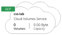 Copie d’écran de l’environnement de travail Cloud Volumes Service pour Google Cloud.