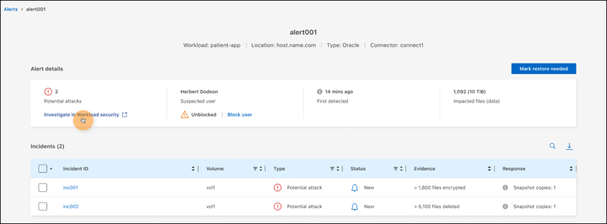 Page des incidents d'alerte affichant les détails de Workload Security