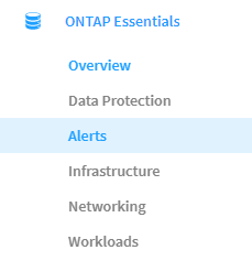 Menu de mise en réseau ONTAP Essentials