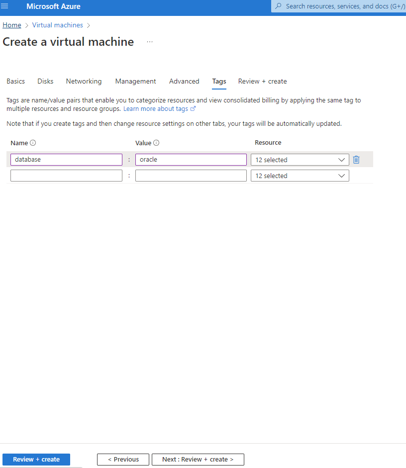 Cette capture d’écran montre l’entrée pour la page Créer des balises de machine virtuelle.