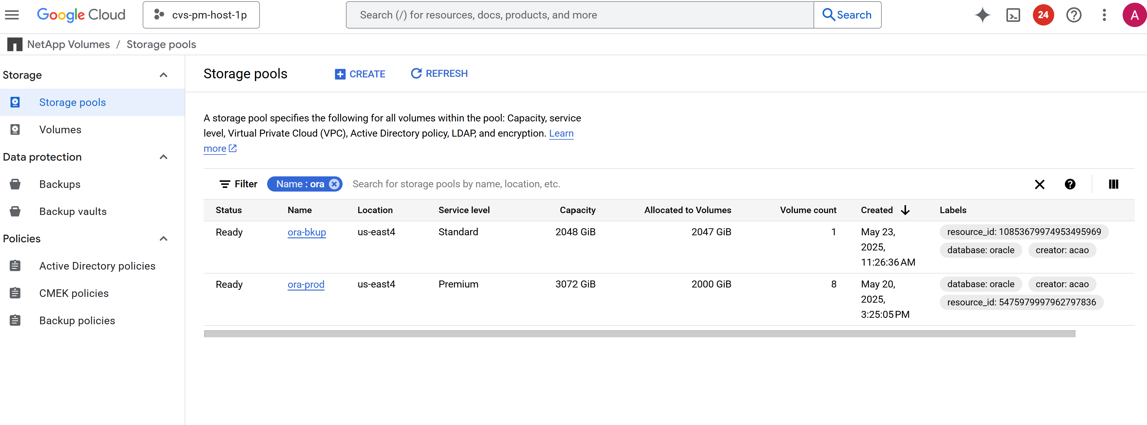 Cette image présente l'écran du pool de stockage GCNV de la console du portail cloud de Google