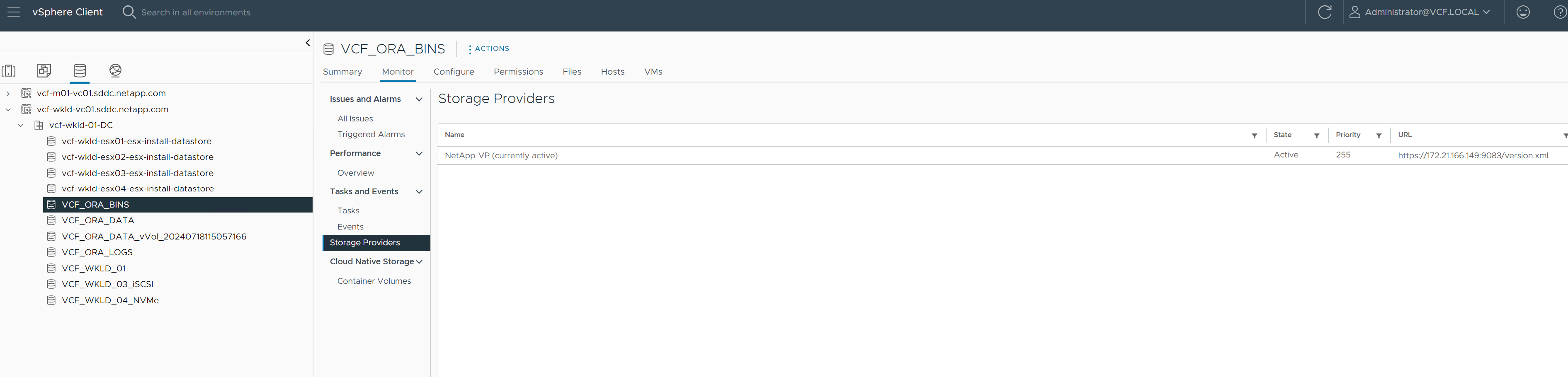 Capture d'écran montrant la configuration de la banque de données vVols .