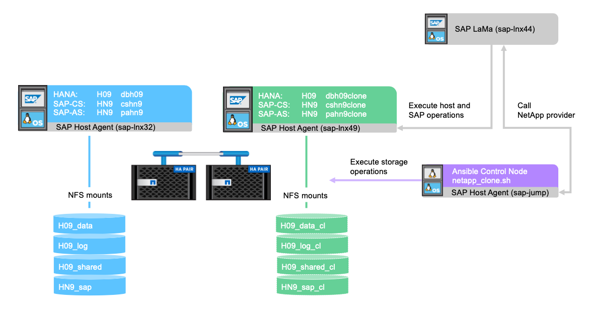 Cette image représente les différents agents hôtes SAP et leur interaction avec les systèmes de stockage NetApp via des montages NFS. L'instance SAP Lama est également représentée.