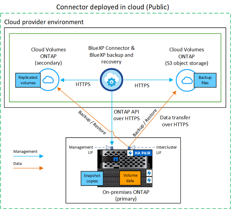 Un diagramma che mostra come il backup e ripristino BlueXP comunica con i volumi sui sistemi di origine e lo storage di destinazione in cui si trovano i file di backup.