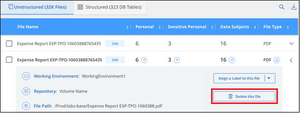Una schermata che mostra la selezione del pulsante Delete file (Elimina file) dai dettagli dei metadati per un file nella pagina Data Investigation (analisi dati).