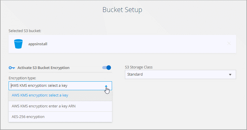 Questa schermata mostra la pagina Bucket Setup, che consente di scegliere Sì o No per la crittografia e di selezionare una classe di storage S3 specifica per i dati sincronizzati.