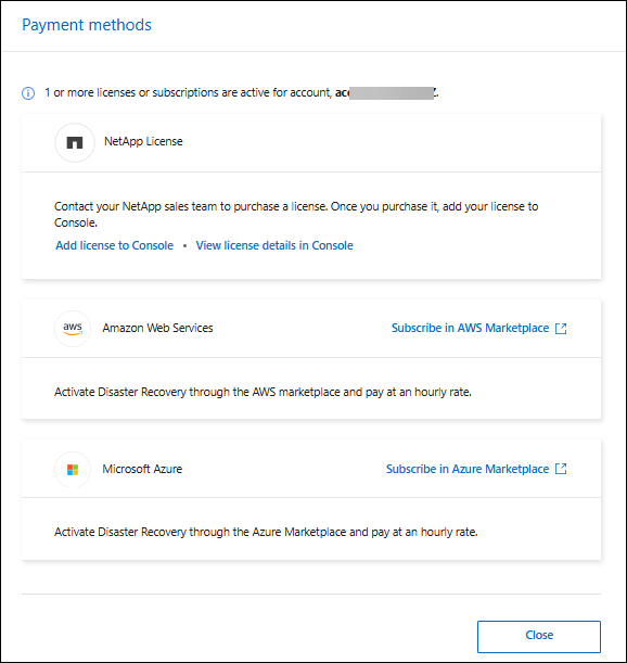Pagina dei metodi di pagamento NetApp Disaster Recovery
