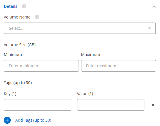 Una schermata che mostra i filtri Dettagli applicabili al modello trova risorse esistenti.