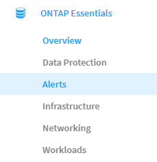 Menu di rete di base di ONTAP