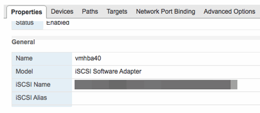 Mostra la stringa IQN dell'adattatore iSCSI.