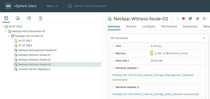 Mostra una schermata del modello VM Witness Node.