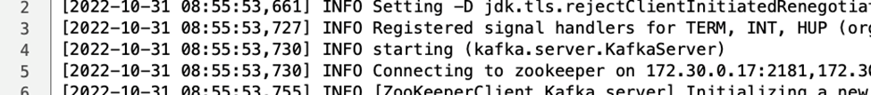 Questa immagine mostra l'output del registro per un cluster basato su DAS.