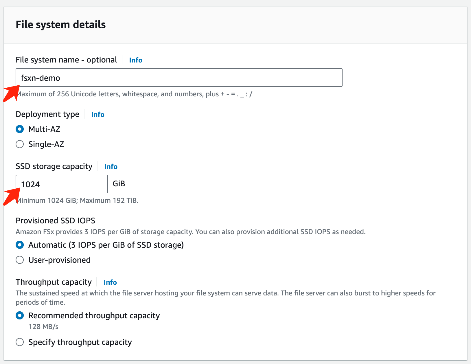 Specificare i dettagli del file system