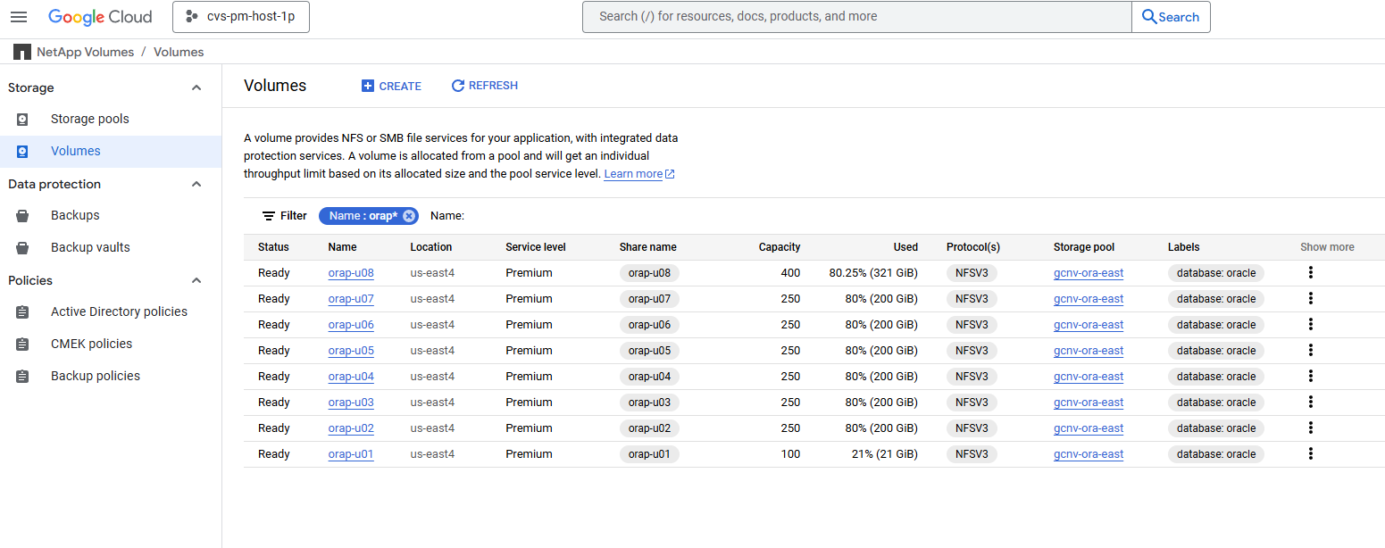 Screenshot che mostra la configurazione dell'ambiente GCNV.