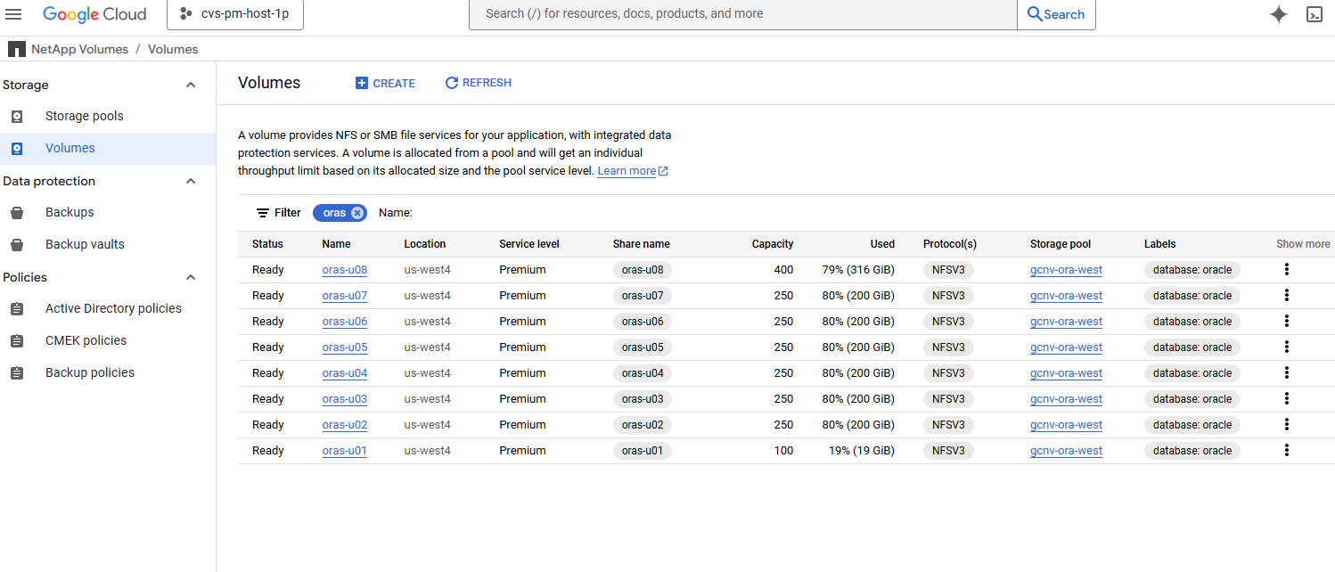 Screenshot che mostra la configurazione dell'ambiente GCNV.