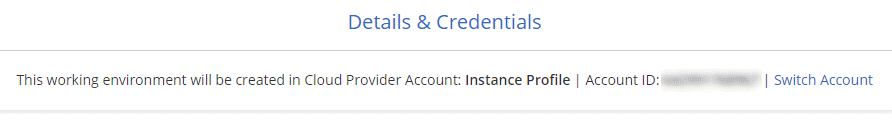 Una schermata che mostra l'opzione Switch account (Cambia account) nella pagina Details  Credentials (Dettagli  credenziali).
