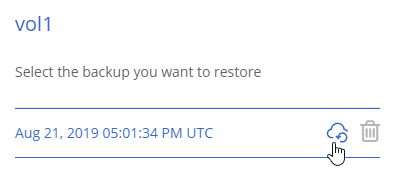 Una schermata dell'icona di ripristino per un backup dopo aver selezionato un volume.