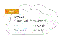 Una schermata di Cloud Volumes Service per AWS sulla pagina Working Environments (ambienti di lavoro).